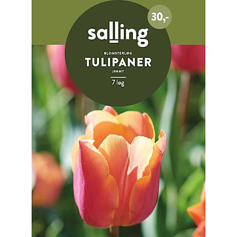 Salling Tulipaner Jimmy