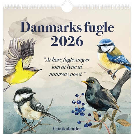1Conzept Kalender 2026 Danmarks Fugle