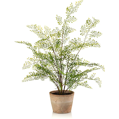 Kunstig plante - Adianthum bregne busk 1 stk.