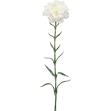 Kunstig Blomst Dianthus 67 cm Hvid