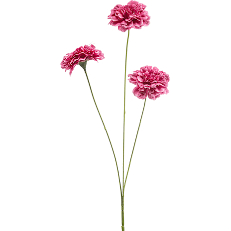 Kunstig Blomst Dianthus Fuchsia