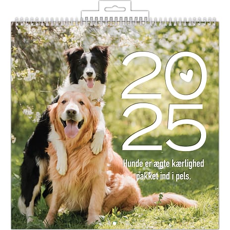 1Conzept Billedkalender 2025 Hunde