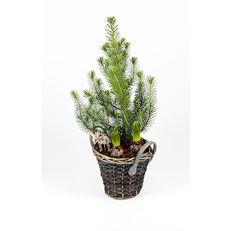 Juledekoration