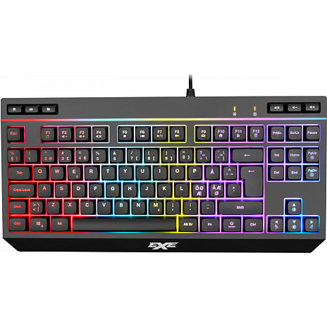 EXE Tenkeyless Gaming Tastatur RGB