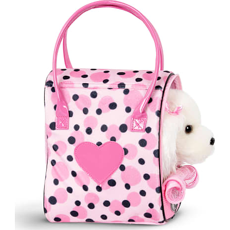 Pucci Pups Malteser Hund