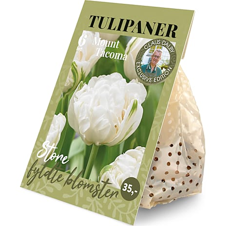 Claus Dalby Tulipaner Mount Tacoma 6 løg