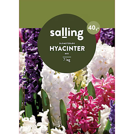 Salling Hyacinter mix
