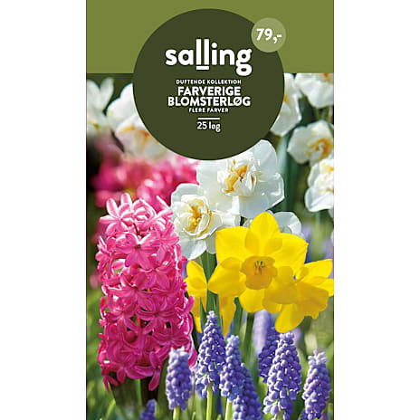 Salling Blomsterløg Duftende Kollektion Mix