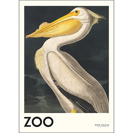 Citatplakat The Zoo Collection Pelican 70x100
