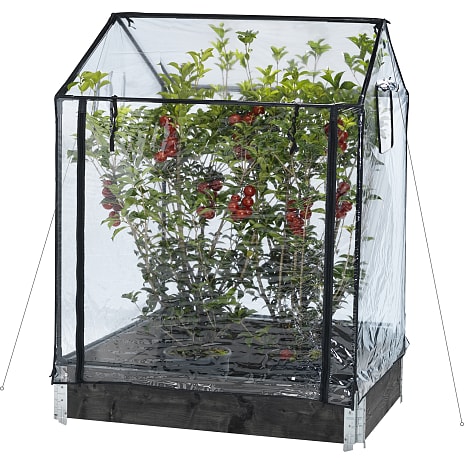 HORTUS Plastdrivhus