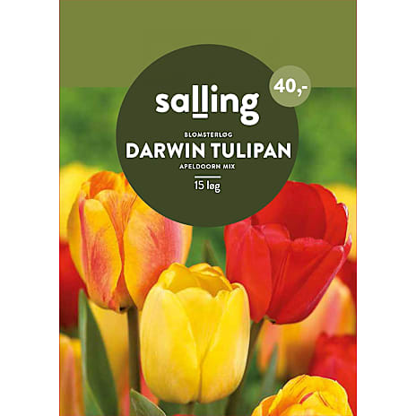 Salling Darwin Tulipaner Apeldorn Mix