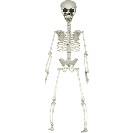 Halloween Skelet Dele Hvid