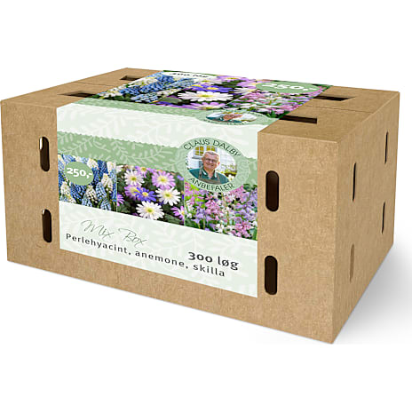 Claus Dalby Perlehyacint, Anemone og Skilla Mix