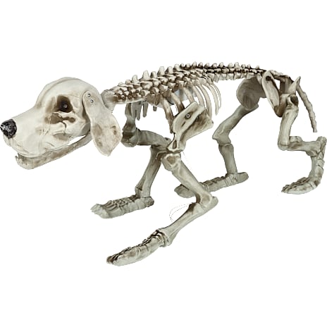 Halloween skelet hund 28x74 cm - hvid 1 stk.