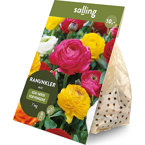 Salling Blomsterløg Ranunkler Mix 7 løg