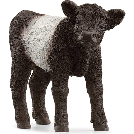 Schleich Gallowaykalv 13969