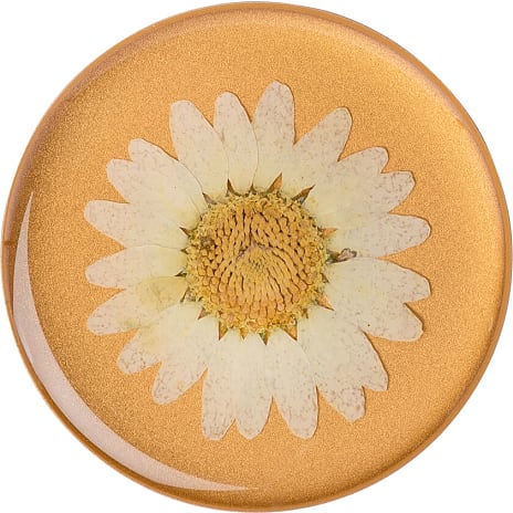 PopSockets Swappable PopGrip Pressed Flower White Daisy