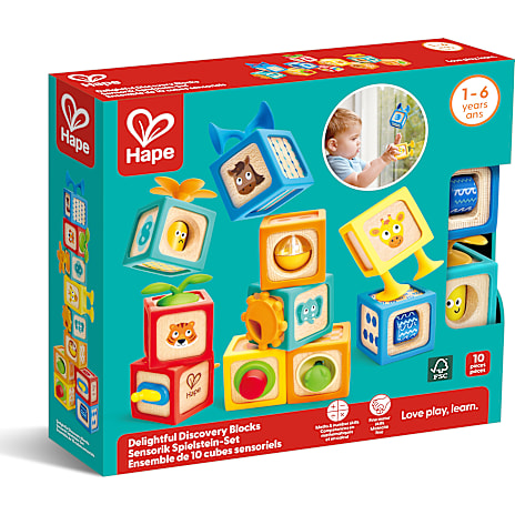 Hape Delightful Discovery Blocks