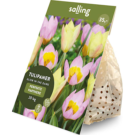 Salling Blomsterløg Tulipaner Glow in the Dark 20 løg
