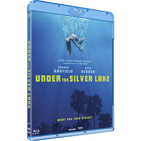 Under the Silver Lake