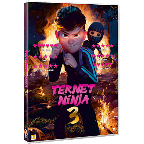 SMD DVD Ternet Ninja 3 1 stk.