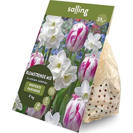 Salling Blomsterløg Tulipaner/Påskeliljer Alaskan Aurora 8 løg