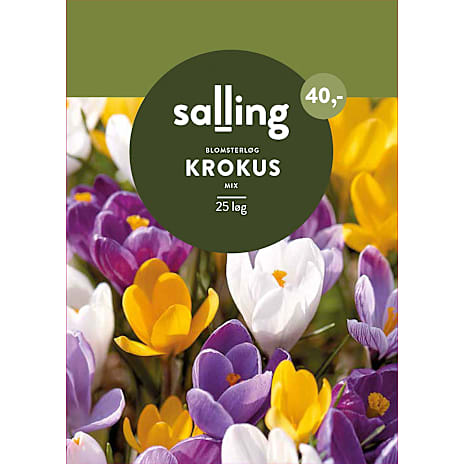 Salling Krokus Mix