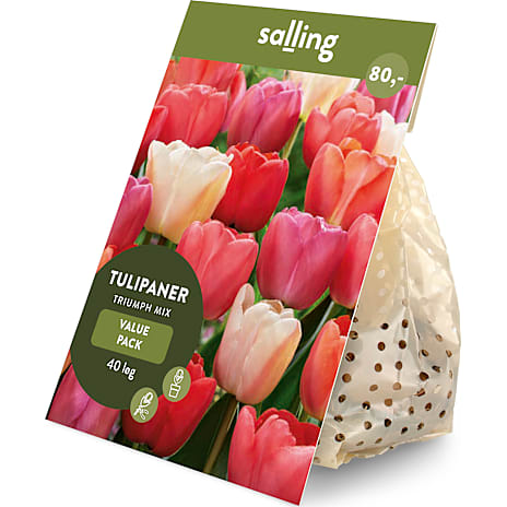 Salling Blomsterløg Tulipaner Triumph Mix 40 løg