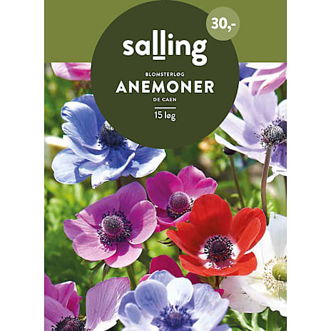 Salling Anemoner Mix