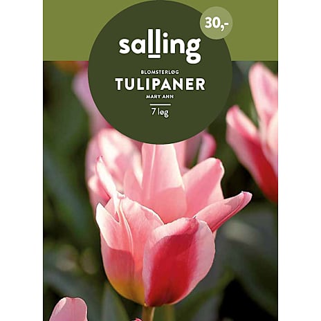 Salling Tulipaner Mary Ann