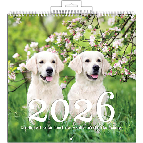 1Conzept Billedkalender 2026 Hund
