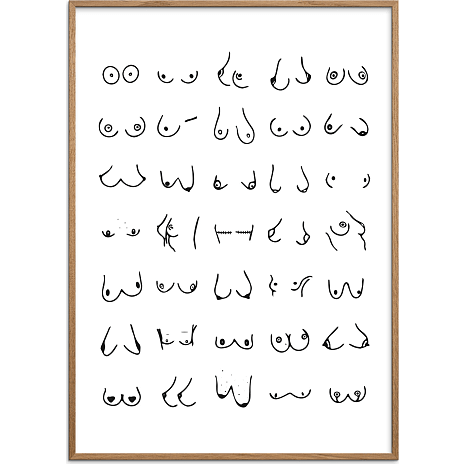 Citatplakat Boobies nr. 3 - 50x70 cm 1 stk.