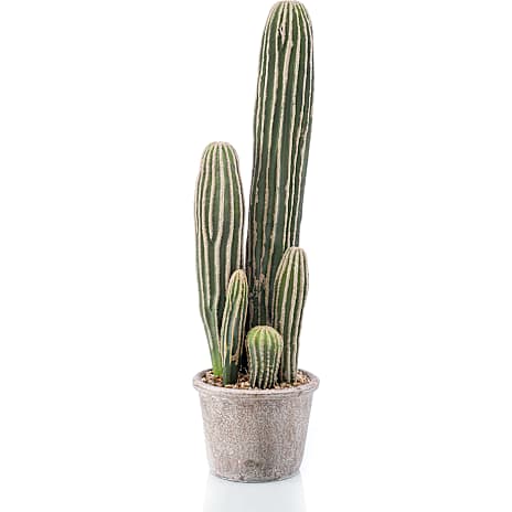 Andre mærker Kunstig blomst San Pedro-kaktus