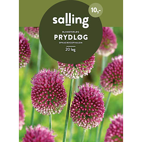 Salling Prydløg Sphaerocephalon