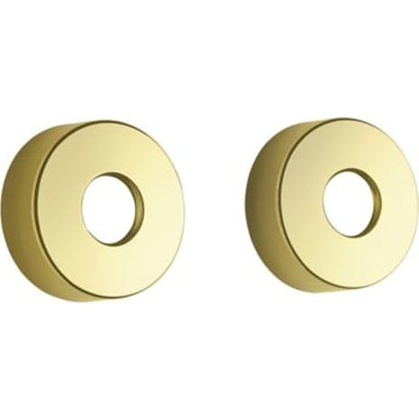 Damixa Rosetter 3/4" Ø75 mm Poleret Messing