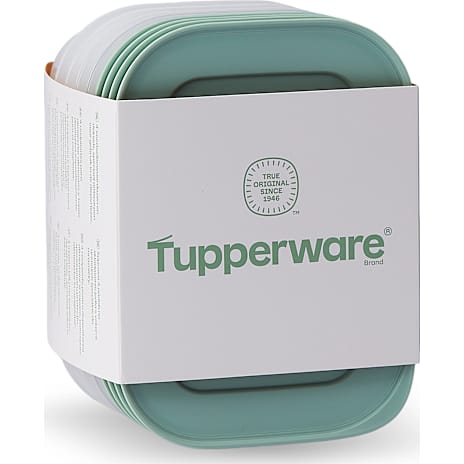 Tupperware Essentials Freezer Mates 4-pak