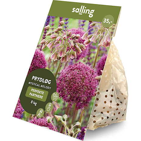 Salling Blomsterløg Prydløg Mystical Melody 8 løg