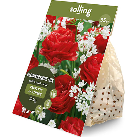 Salling Blomsterløg Tulipaner/Prydløg Love and Lace 10 løg