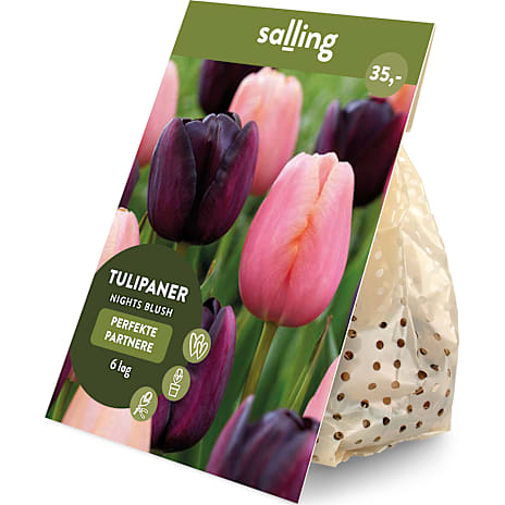 Salling Blomsterløg Tulipaner Nights Blush 6 løg