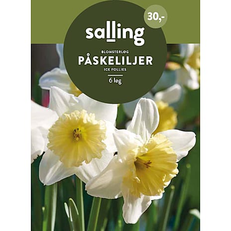 Salling Påskeliljer Ice Follies