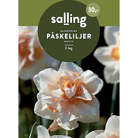Salling Påskeliljer Replete