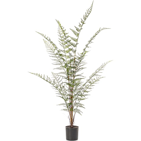 Andre Mærker Kunstig plante - bregne 1 stk.