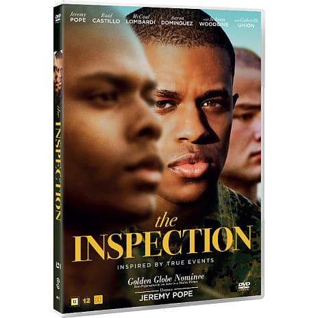 The Inspection