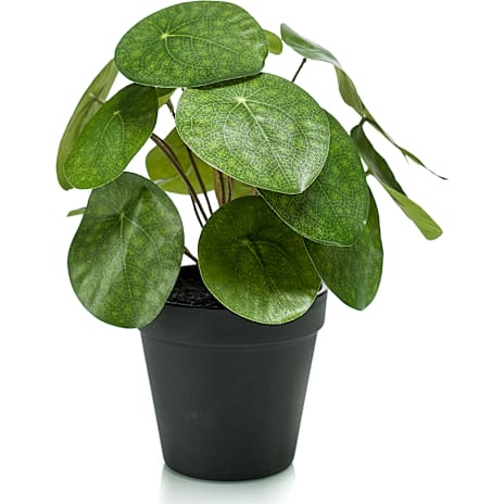 Andre Mærker Kunstig plante - Pilea 1 stk.