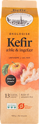 Kefir M Æble/Ingefær Løgismose