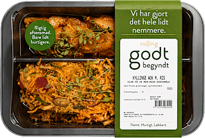 Kylling Wok Godt Begyndt