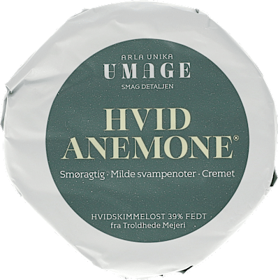 HVID ANEMONE UNIKA