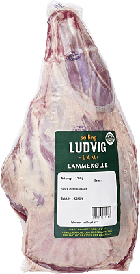 LAMMEKØLLE LUDVIG