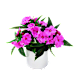 Sommerblomster