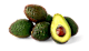 Avocadoer